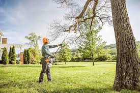 Seasonal Cleanup (Spring/Fall) in Irvine, CA